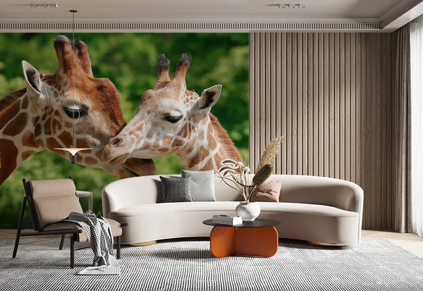 پوستر دیواری طرح زرافه | پوستر دیواری طرح زرافه