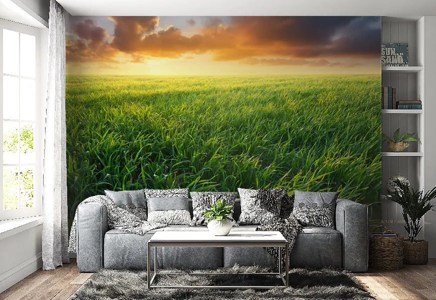 کاغذ دیواری با طرح چمن | کاغذ دیواری با طرح چمن