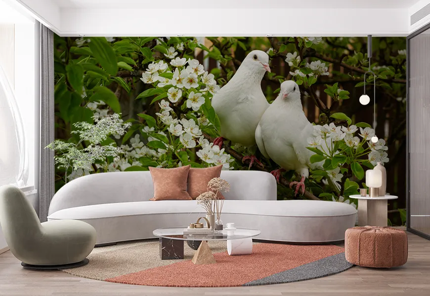 کاغذ دیواری با طرح کبوتر | کاغذ دیواری با طرح کبوتر