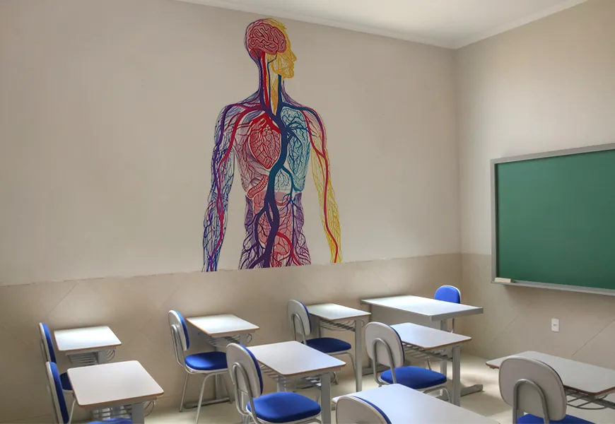 کاغذ دیواری مدرسه ساختار آناتومی بدن