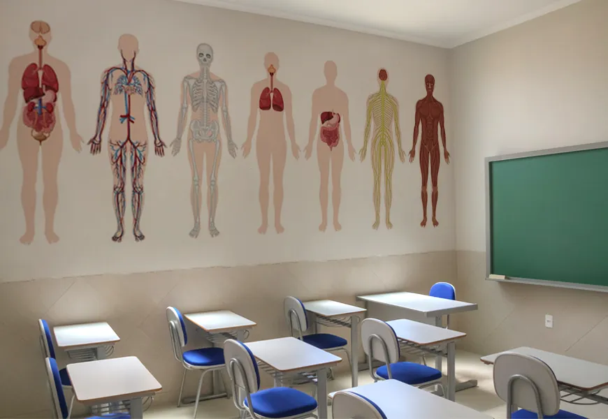 پوستر مدرسه طرح آناتومی قسمت مختلف بدن