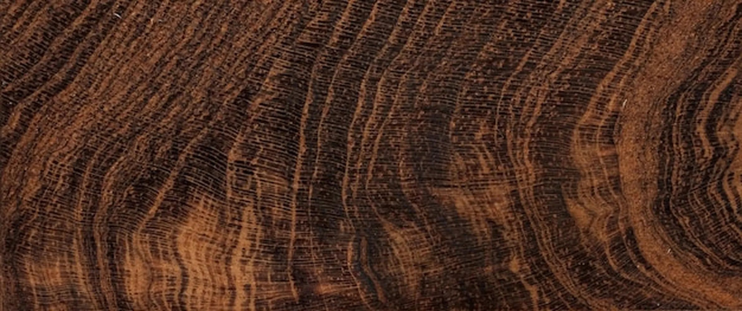 پوستر چوبی طرح سطح برش درخت