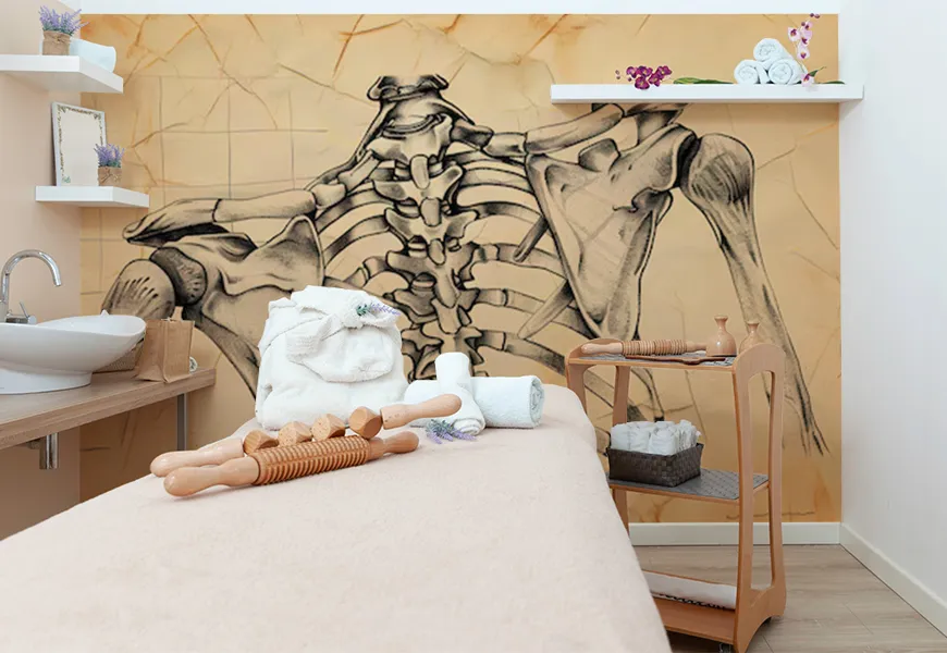 کاغذ دیواری فیزیوتراپی طرح نقاشی آناتومی