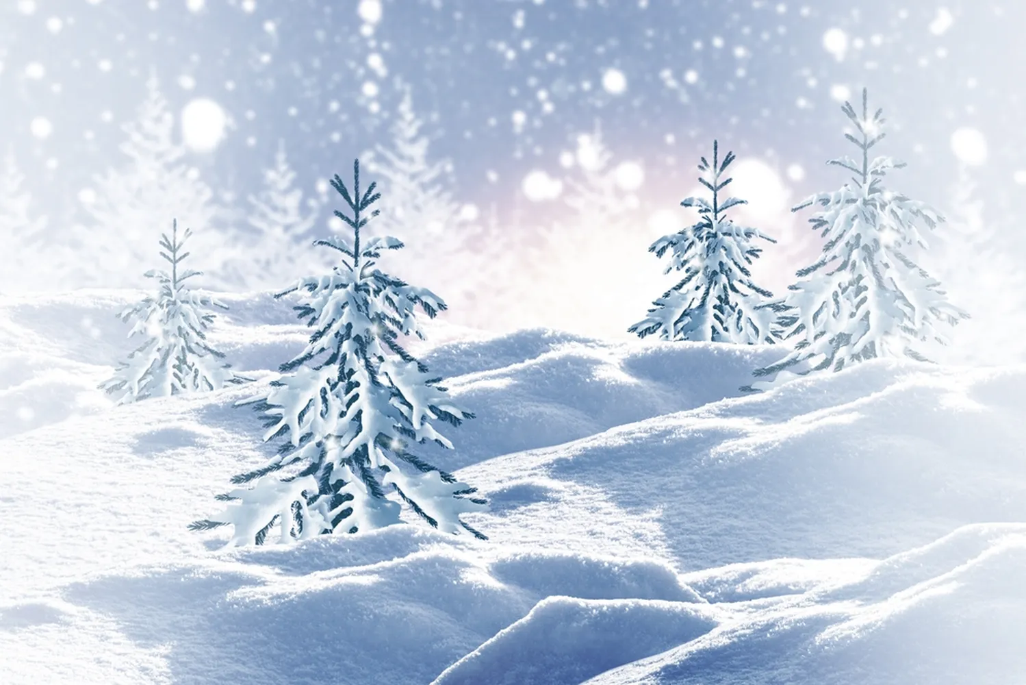 کاغذ دیواری طبیعت زمستان طرح کریسمس برفی