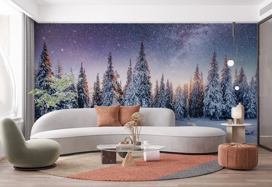پوستر زمستان طرح طبیعت آسمان ستاره ای