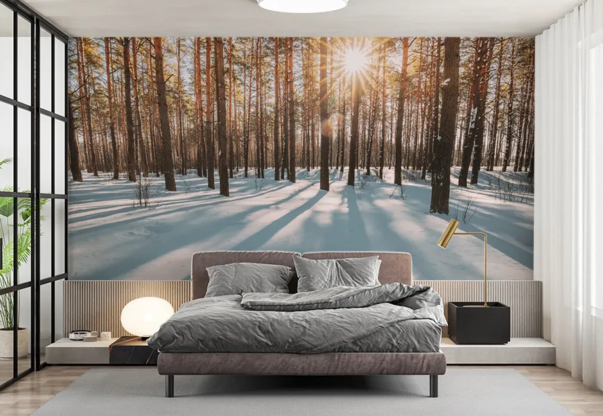 پوستر طبیعت زمستانی طرح سایه های درختان کاج