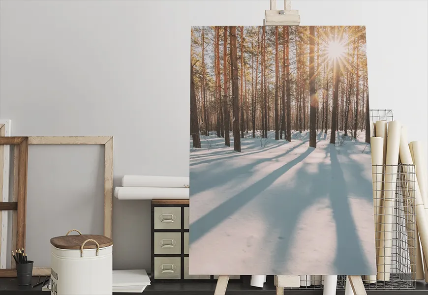 پوستر طبیعت زمستانی طرح سایه های درختان کاج
