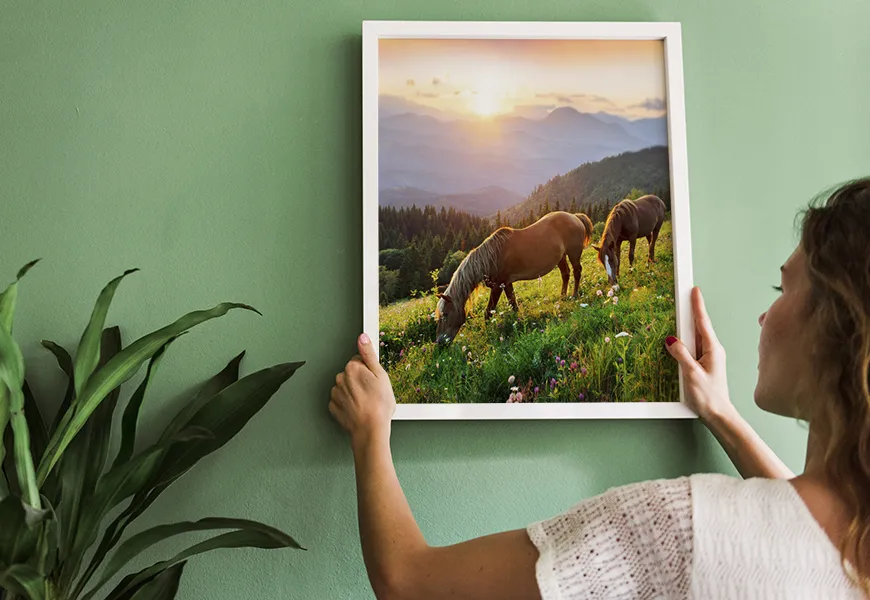 پوستر حیوانات طرح چریدن اسب های وحشی