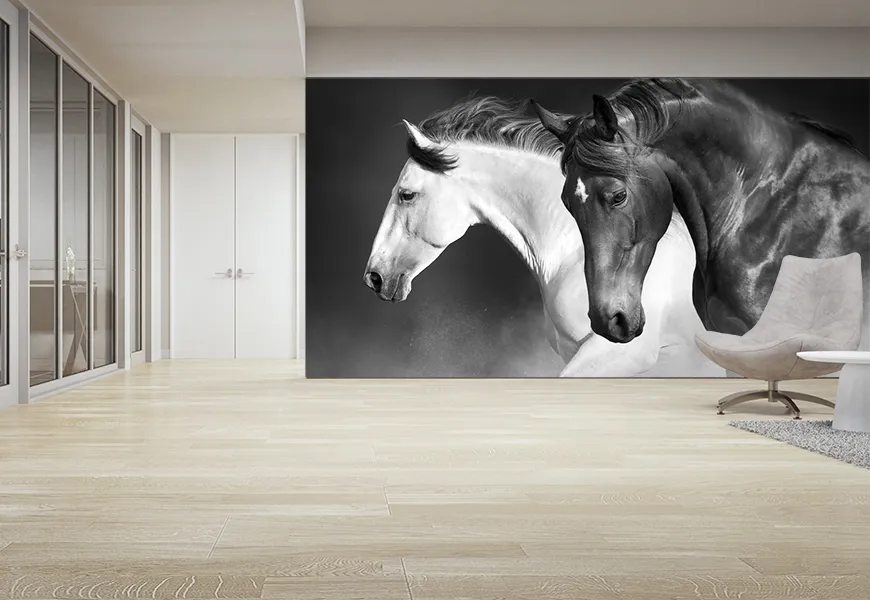 پوستر حیوانات طرح اسب سیاه و سفید