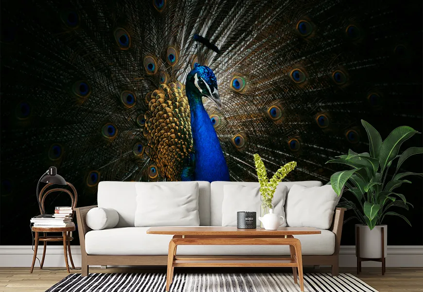کاغذ دیواری حیوانات طرح دم طاووس