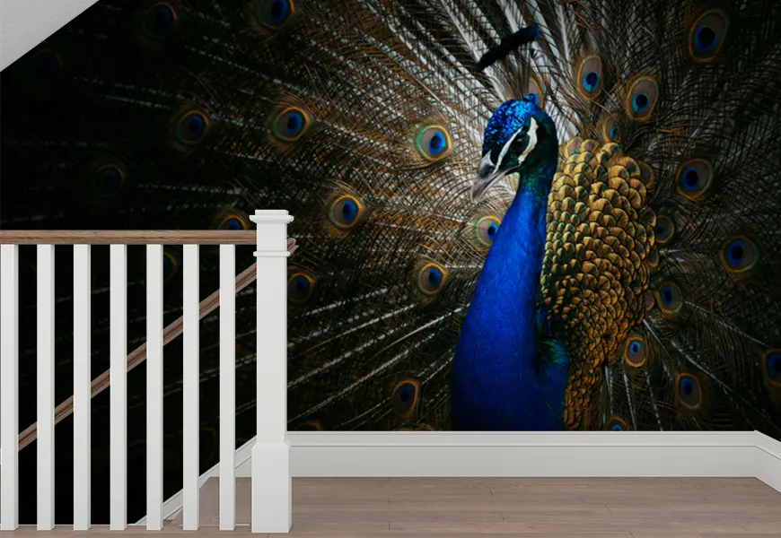 کاغذ دیواری حیوانات طرح دم طاووس