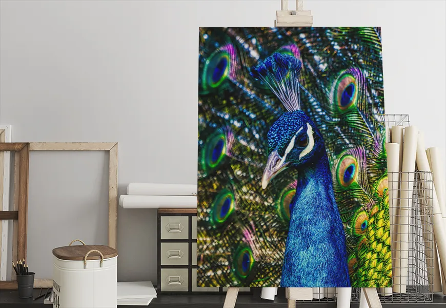 پوستر دیواری حیوانات طرح طاووس با دم باز