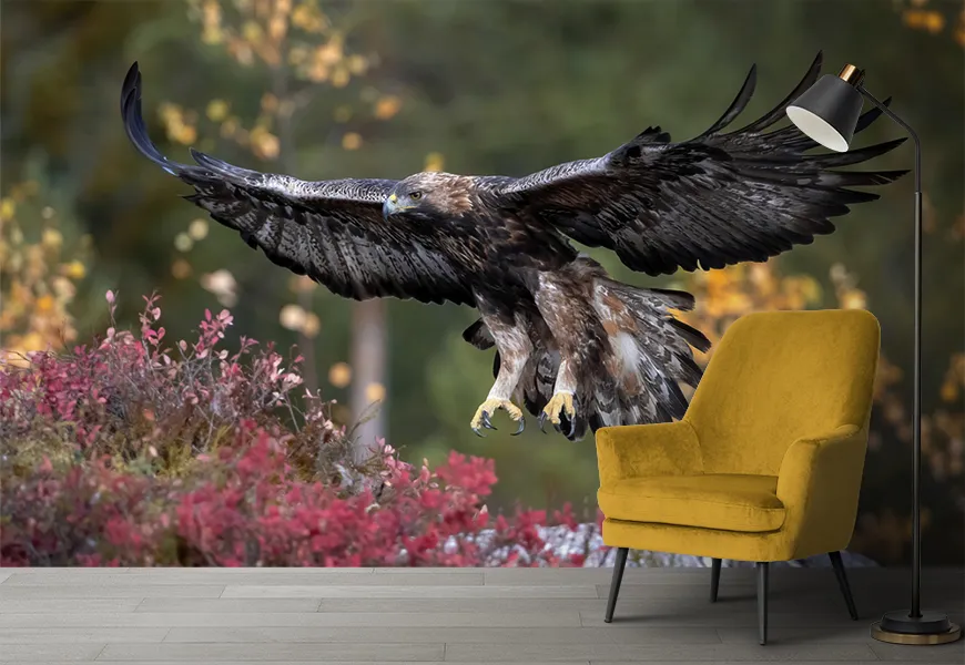 پوستر حیوانات طرح فرود عقاب در جنگل پاییزی