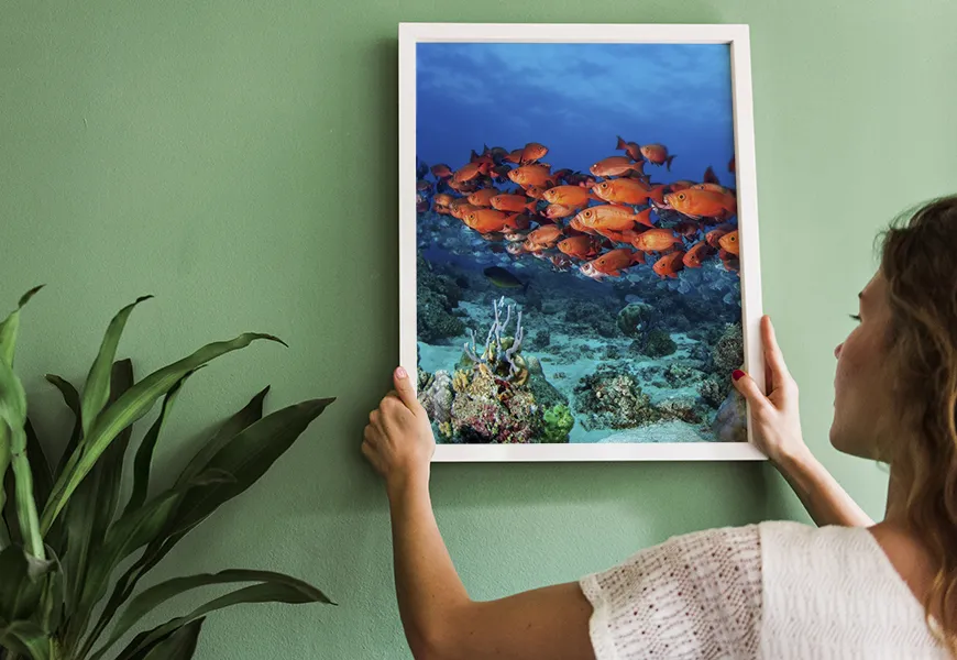 پوستر دیواری سه بعدی طرح مدرسه ماهی های قرمز