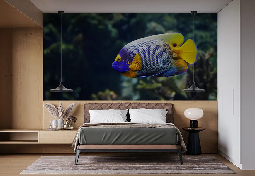 پوستر دیواری طرح ماهی ها گرمسیری