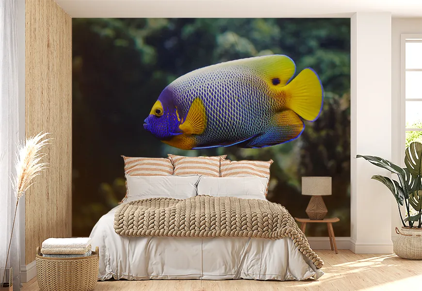 پوستر دیواری طرح ماهی ها گرمسیری