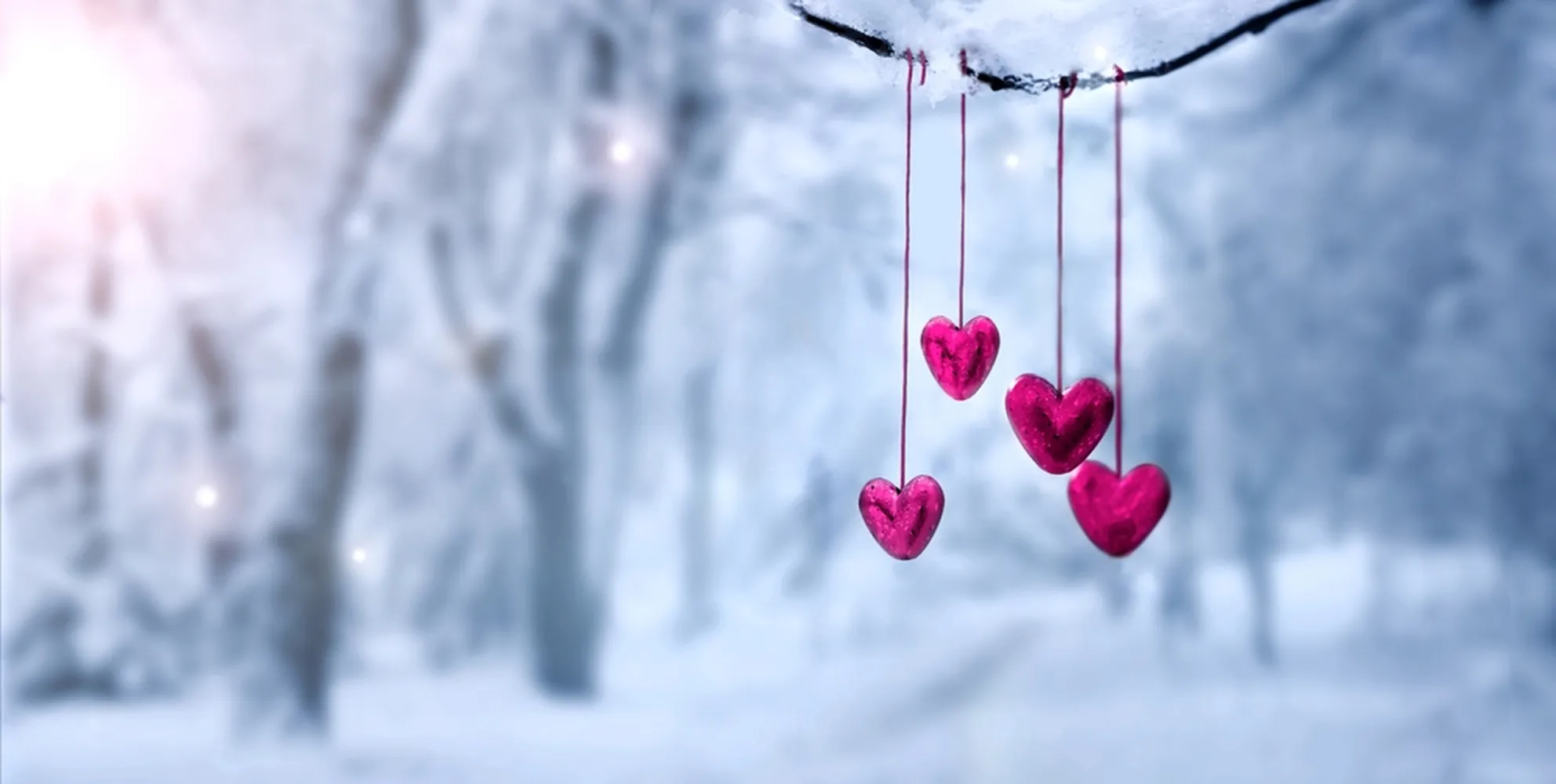 پوستر عاشقانه طرح قلب روی شاخه برفی
