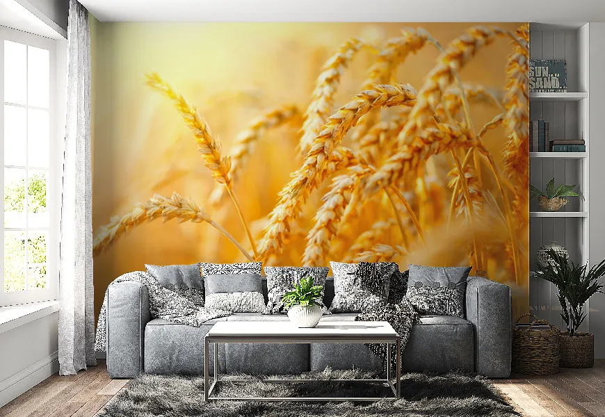 کاغذ دیواری 3 بعدی طرح خوشه های طلایی گندم زار