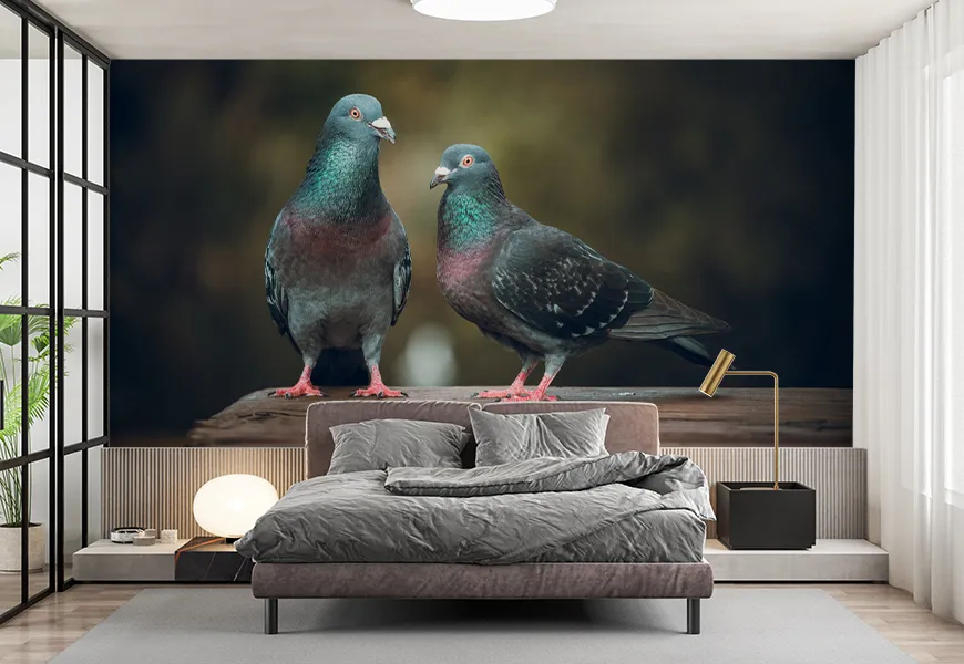 پوستر 3 بعدی طرح دو کبوتر عاشق در پارک