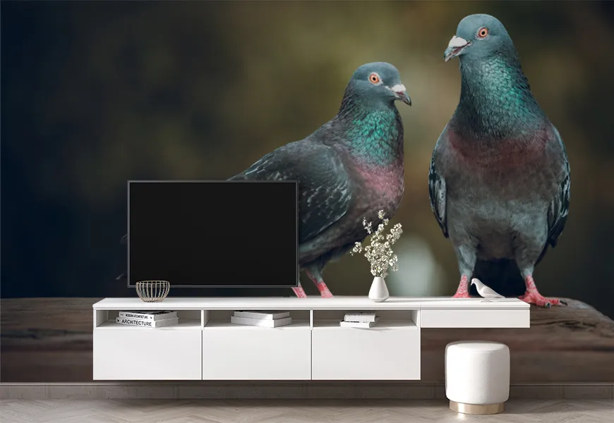 پوستر 3 بعدی طرح دو کبوتر عاشق در پارک