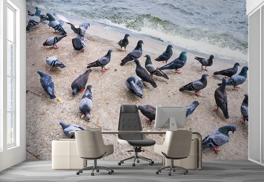 کاغذ دیواری طرح دسته کبوتران در حال دانه خوردن لب دریا