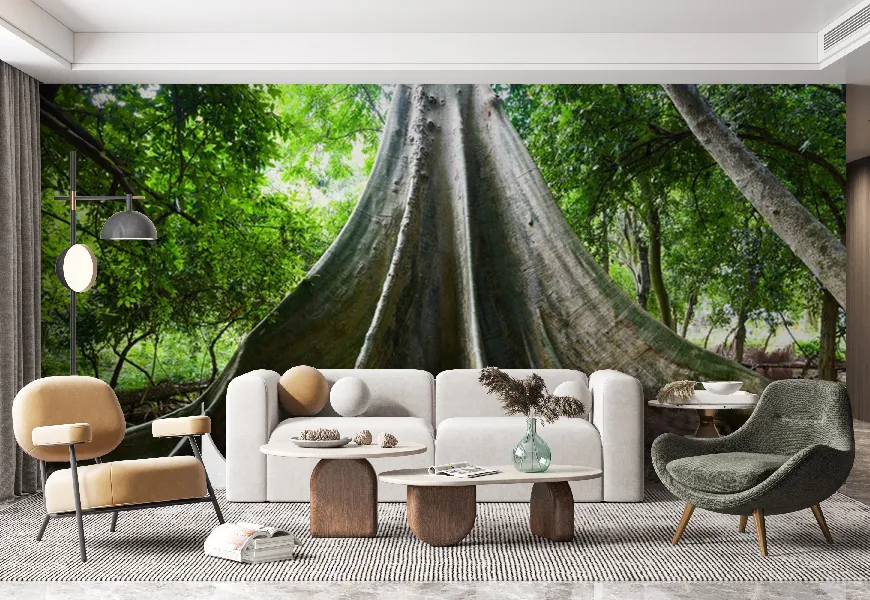 کاغذ دیواری طرح درخت قدیمی فیکوس آلبیپیلا