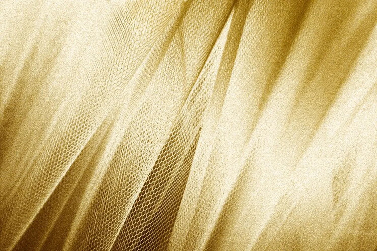 پوستر لاکچری طرح پارچه طلا ابریشمی با بافت پوست مار